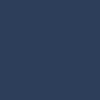 Polar Big Boy Shorts - Dark Blue